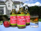 Group of bottles in front of house