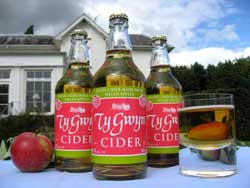 Groupt of Ty Gwyn cider bottles