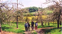The owners in an orchard