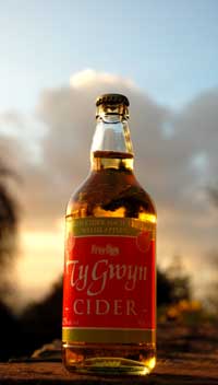 Ty Gwyn cider at sunset