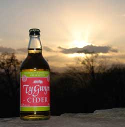 Cider bottle in the evening