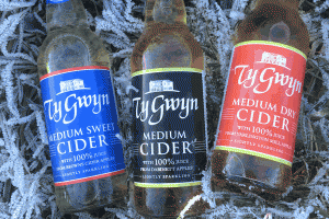 Bottles of Ty Gwyn Cider in frost-covered grass