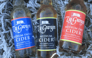 Bottles of Ty Gwyn Cider in frost-covered grass