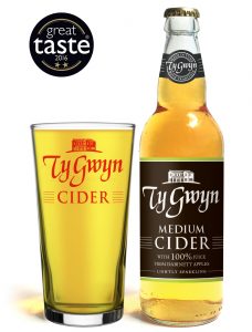 Bottle and pint of Ty Gwyn Medium cider