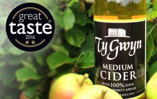 Ty Gwyn Medium Cider with Great Taste award