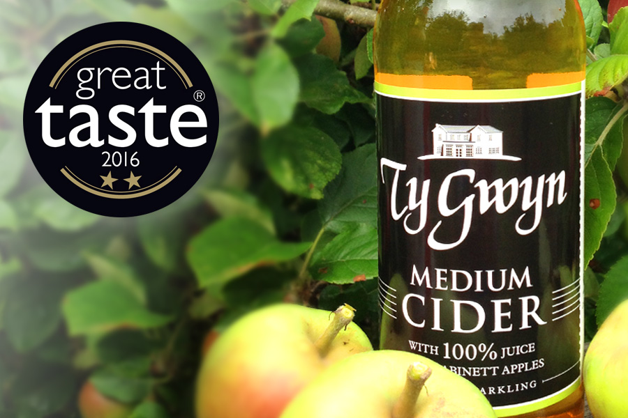 Ty Gwyn Medium Cider with Great Taste award