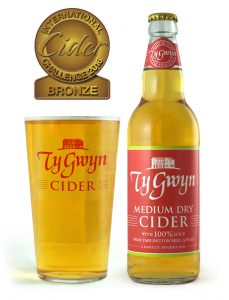 Bottle and pint of Ty Gwyn Medium Dry Cider