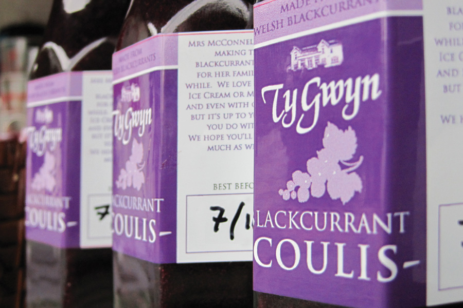 Ty Gwyn Blackcurrant Coulis