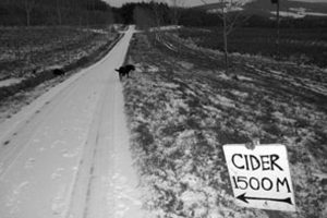 Driveway to Whitehouse Farm