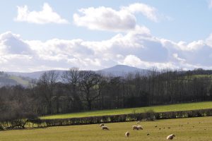 Pen-Y-Lan Farm, home of Ty Gwyn Cider