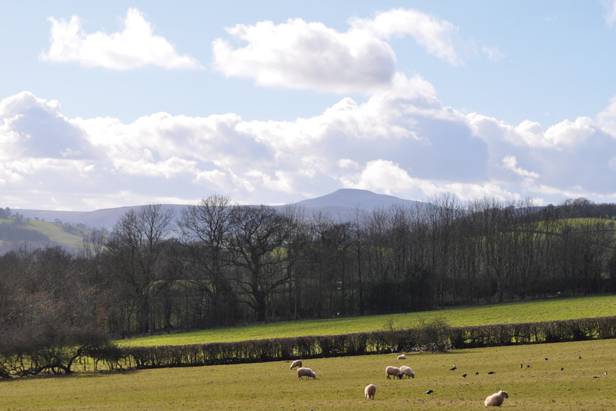 View from Pen-Y-Lan Farm