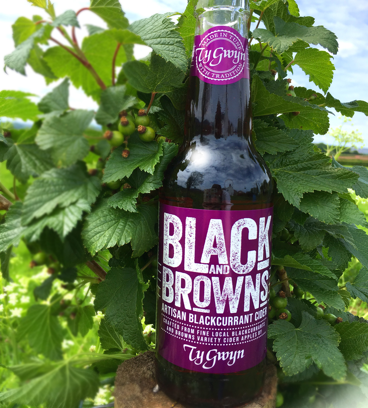 Ty Gwyn 'Black and Browns' blackcurrant cider
