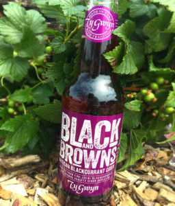 Ty Gwyn 'Black and Browns' blackcurrant cider