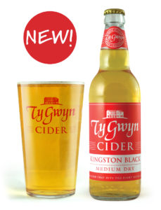 Bottle and pint of Ty Gwyn Medium Dry Cider