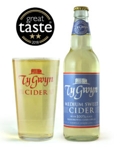 Bottle and pint of Ty Gwyn Medium Sweet Cider
