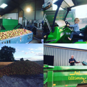 Apprentice cider maker