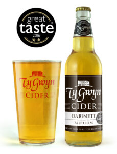 Bottle and pint of Ty Gwyn Medium Cider