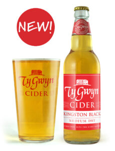 Bottle and pint of Ty Gwyn Medium Dry Cider