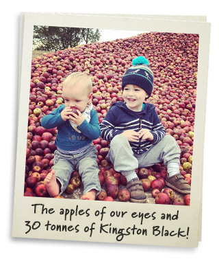 The boys and an apple mountain!