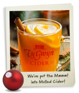 Ty Gwyn Mulled Cider