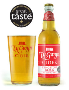 Bottle and pint of Ty Gwyn Medium Dry Cider