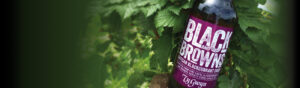 Ty Gwyn 'Black and Browns' blackcurrant cider