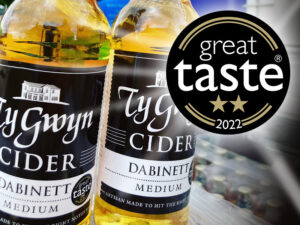 Ty Gwyn Dabinett Medium Cider and 2-star Great Taste award
