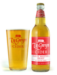 Bottle and pint of Ty Gwyn Medium Dry Cider